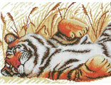 Тигр на отдыхе (626) vkn